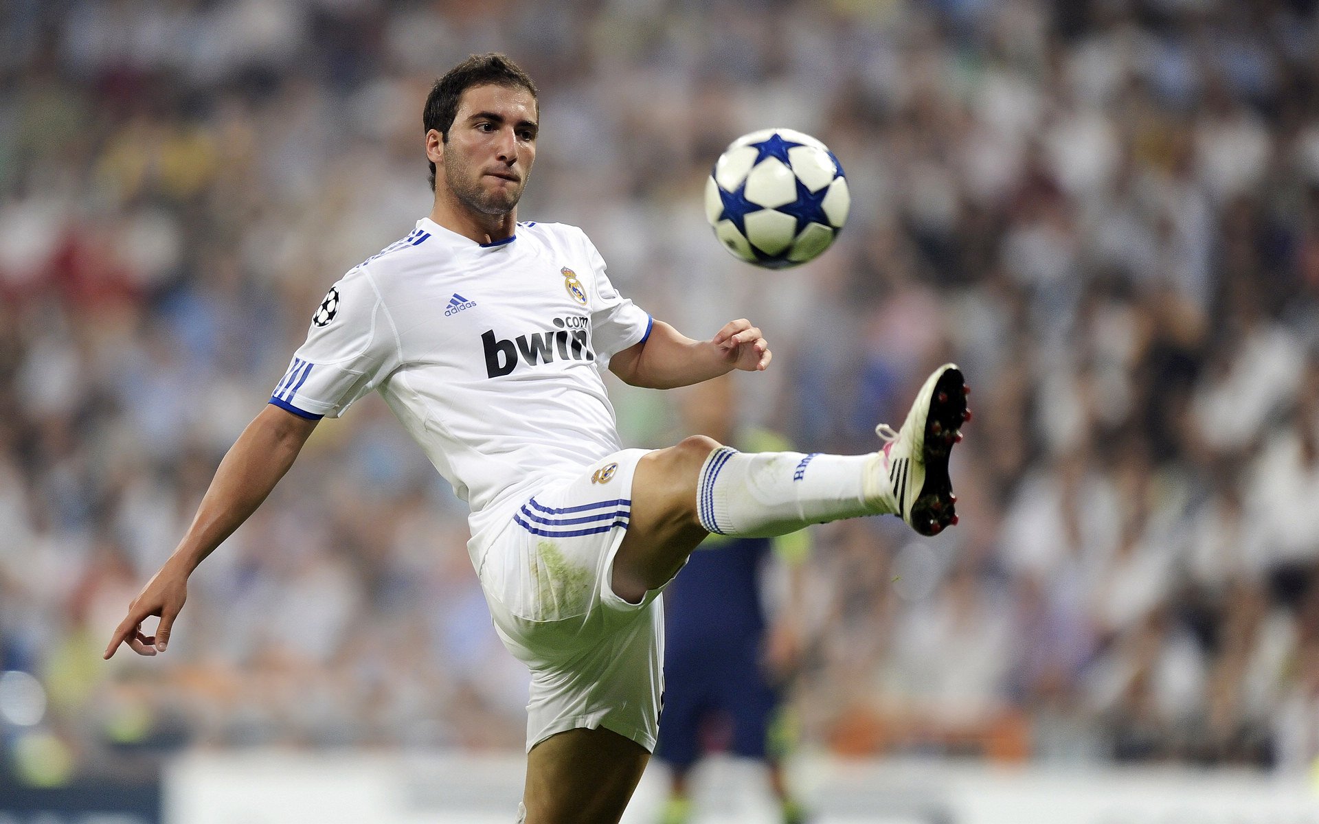 “马丁·高尔西的全能防守：阿根廷美洲狮队的制胜法宝”